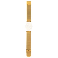Cinturino Originale Swatch Skin GENEROSITY ASFK355M | De Wrachien Gioielli