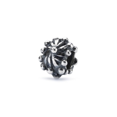 Trollbeads Bead in argento | De Wrachien Gioielli