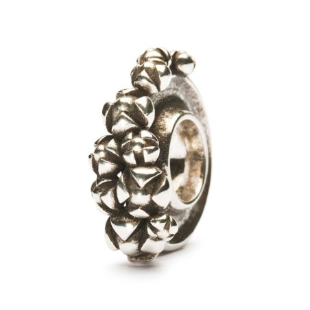 Trollbeads Bead in argento | De Wrachien Gioielli