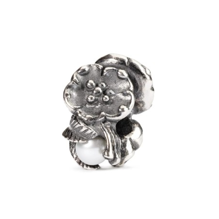 Trollbeads Bead in argento  | De Wrachien Gioielli