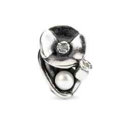 Trollbeads Bead in argento  | De Wrachien Gioielli