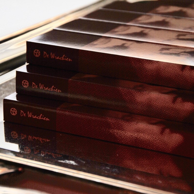 UN'OMBRA PER IL CIBA - DE WRACHIEN 1925